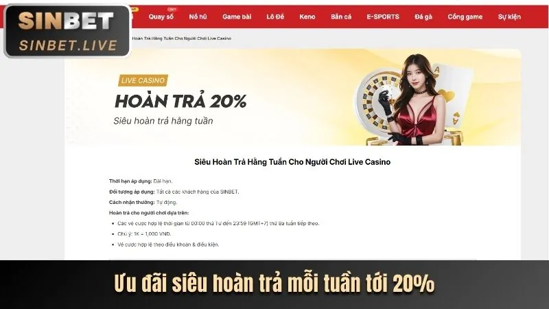 Chi tiết đặc quyền VIP vaobet